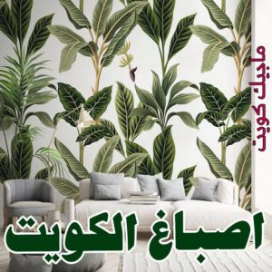 صباغ مصري - صباغ شاطر - صباغ ابوعلي 97708083 - صباغ مصري بالكويت - صباغ مصري بالجهراء - صباغ مصري رخيص - رقم صباغ مصري - صباغ رخيص - صباغ مصري شاطر 4 اصباغ الكويت