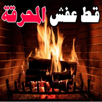 قط اغراض المحرقة - الرابطة الخليجية📞55945861 - قط عفش المحرقه - نقل اغراض المحرقه - قط اثاث المحرقة - هاف لوري قط اغراض - نقل عفش - شركة قط اغراض - نقل اثاث