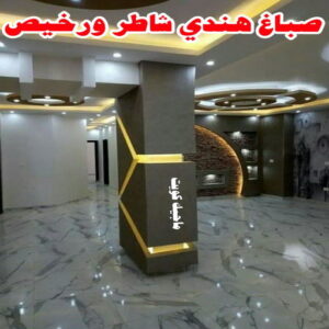 صباغ هندي شاطر ورخيص